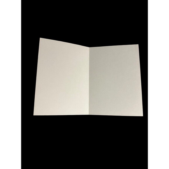 David Knowlton “Fan Mail” Greeting Cards- Set of 17 Crown Point Graphics 2003 - Picture 3 of 4